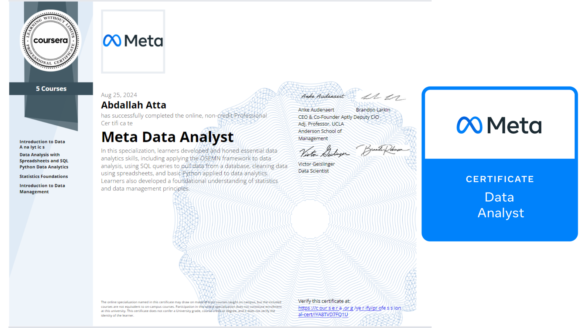 Meta Data Analyst