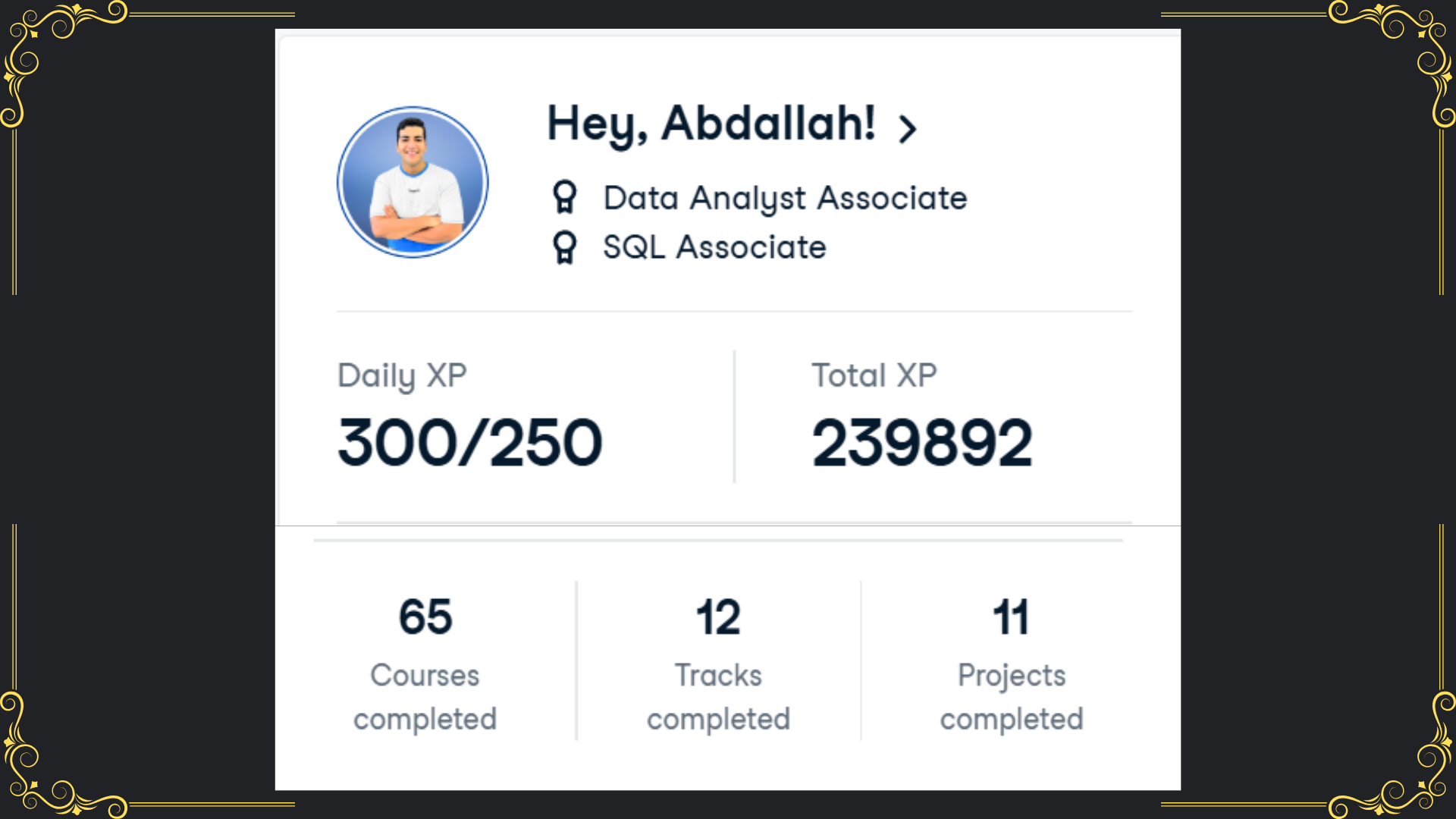 DataCamp Courses Completed